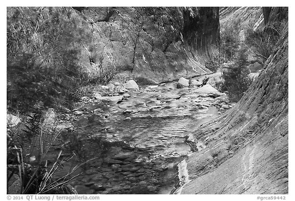 Gorge and riparian environment, Clear Creek. Grand Canyon National Park (black and white)