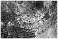 Gorge and riparian environment, Clear Creek. Grand Canyon National Park ( black and white)