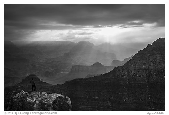 Visitor looking, South Rim near Mather Point. Grand Canyon National Park (black and white)