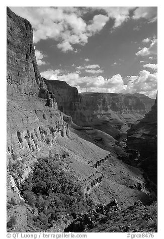 Red wall, Thunder Spring and Tapeats Creek, morning. Grand Canyon National Park (black and white)