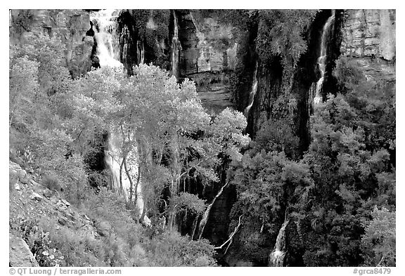 Thunder river lower waterfall, afternoon. Grand Canyon National Park (black and white)