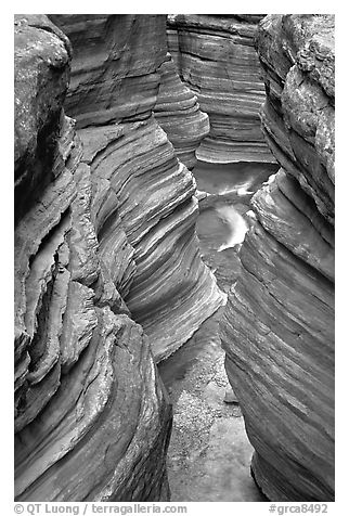 Slot Canyon carved by Deer Creek. Grand Canyon National Park (black and white)