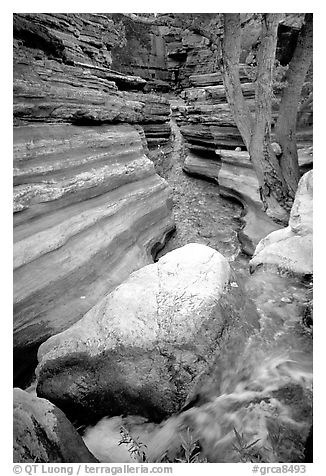 Deer Creek flows into a narrow canyon. Grand Canyon National Park (black and white)
