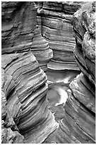 Slot Canyon carved by Deer Creek. Grand Canyon National Park, Arizona, USA. (black and white)