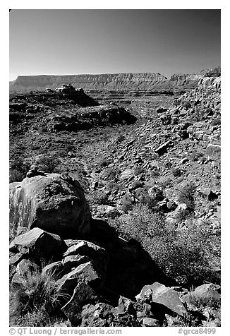 Layers of Supai from  edge of  Esplanade. Grand Canyon National Park (black and white)
