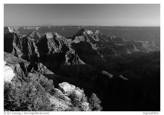 Bright Angel Point, late afternoon. Grand Canyon National Park (black and white)