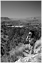 Backpacker on  Esplanade, Thunder River and Deer Creek trail. Grand Canyon National Park, Arizona, USA. (black and white)