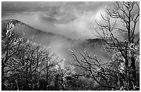 Clearing winter storm on North Rim, morning. Mesa Verde National Park, Colorado, USA. (black and white)