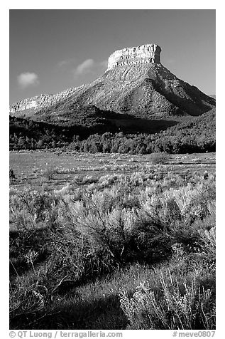 Meadows and mesas near  Park entrance, early morning. Mesa Verde National Park (black and white)