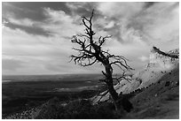 Montezuma Valley Overlook. Mesa Verde National Park, Colorado, USA. (black and white)