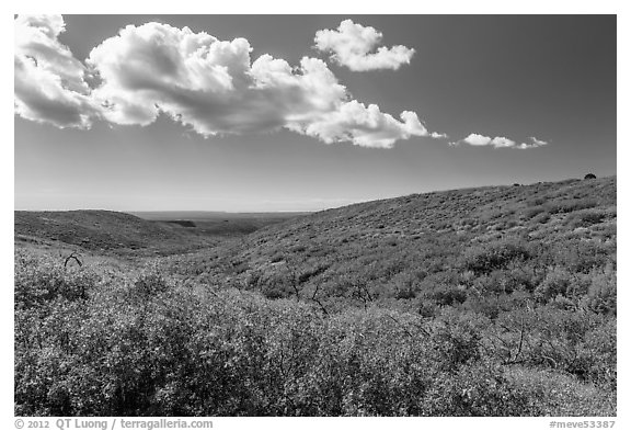 Clouds and slopes with autumn colors. Mesa Verde National Park (black and white)