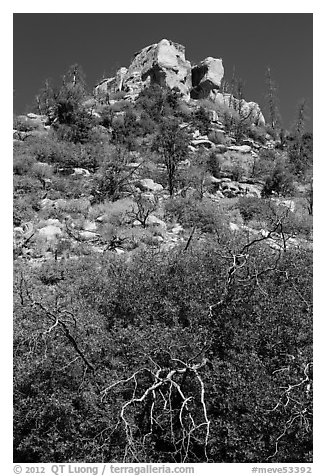 Outcrop with shurbs in fall foliage. Mesa Verde National Park (black and white)