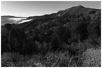 Early morning, Mancos Valley Overlook. Mesa Verde National Park ( black and white)