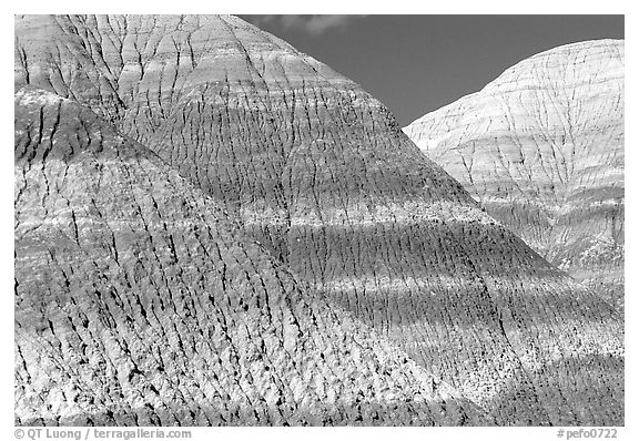 Erosion formations in Blue Mesa. Petrified Forest National Park (black and white)