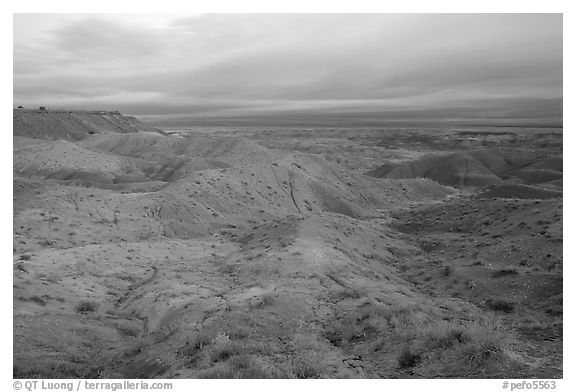 Painted desert seen from Tiponi Point, dawn. Petrified Forest National Park (black and white)
