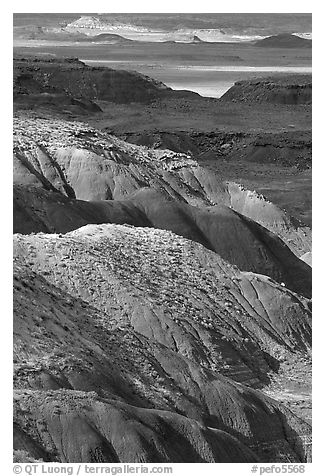 Painted desert seen from Lacey Point, morning. Petrified Forest National Park (black and white)