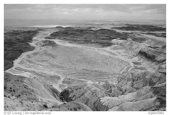 Badlands and Dendritic drainage patterns, Blue Mesa, mid-day. Petrified Forest National Park (black and white)