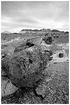 Triassic Era large petrified logs and badlands, Long Logs area. Petrified Forest National Park, Arizona, USA. (black and white)