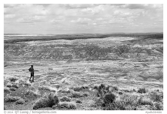 Visitor looking, Painted Desert near Tiponi Point. Petrified Forest National Park (black and white)