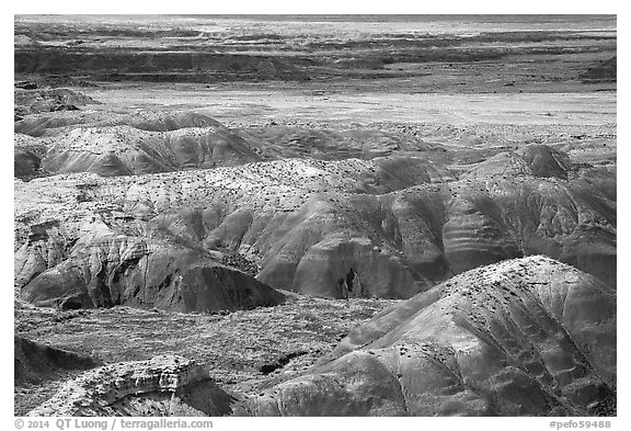 Painted Desert from Tawa Point. Petrified Forest National Park (black and white)