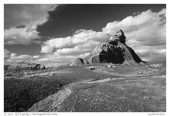Salomons Throne. Petrified Forest National Park (black and white)