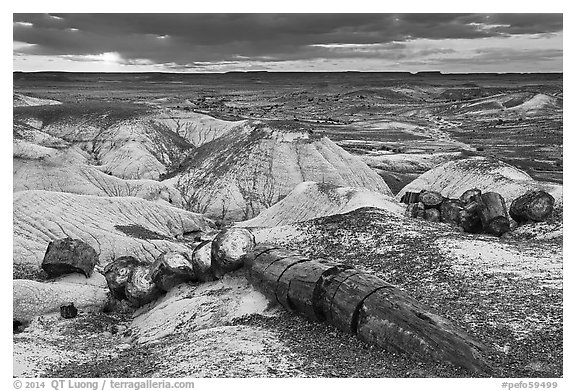 Broken logs of petrified wood at sunset, Crystal Forest. Petrified Forest National Park (black and white)