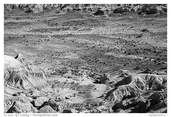 Badlands and petrified wood, Jasper Forest. Petrified Forest National Park (black and white)