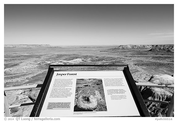 Interpretive sign, Jasper Forest. Petrified Forest National Park (black and white)