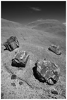 Petrified wood on red badlands,. Petrified Forest National Park ( black and white)
