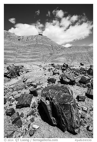 Black petrified wood and red Painted Desert badlands. Petrified Forest National Park (black and white)