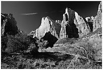 Court of the Patriarchs sandstone towers, morning. Zion National Park, Utah, USA. (black and white)