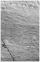 Rock wall with checkboard patterns, Zion Plateau. Zion National Park, Utah, USA. (black and white)