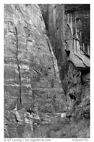 Canyon walls near Angel's landing. Zion National Park (black and white)