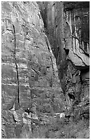 Canyon walls near Angel's landing. Zion National Park (black and white)