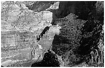 Cliffs near Hidden Canyon from above, late winter afternoon. Zion National Park, Utah, USA. (black and white)