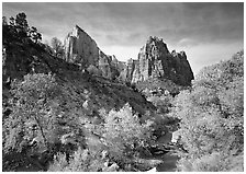 Court of the Patriarchs and Virgin River, afternoon. Zion National Park, Utah, USA. (black and white)