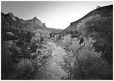 Virgin River and Watchman catching last sunrays of the day. Zion National Park, Utah, USA. (black and white)