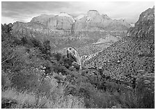 Towers of the Virgin in rainy weather. Zion National Park, Utah, USA. (black and white)