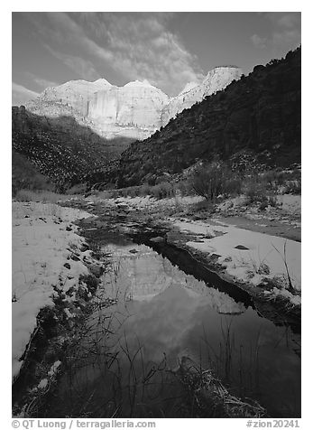 Pine Creek and Towers of the Virgin, sunrise. Zion National Park (black and white)