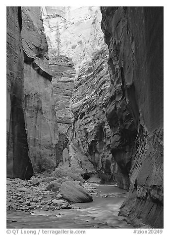 Virgin River and rock walls, the Narrows. Zion National Park (black and white)