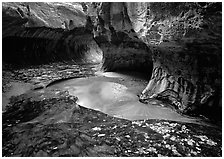 Water flowing in pools in  Subway, Left Fork of the North Creek. Zion National Park, Utah, USA. (black and white)