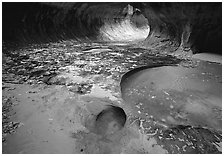 Pools and fallen leaves in autumn, the Subway. Zion National Park, Utah, USA. (black and white)