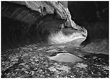 Narrow canyon carved in tunnel-like shape, the Subway. Zion National Park, Utah, USA. (black and white)