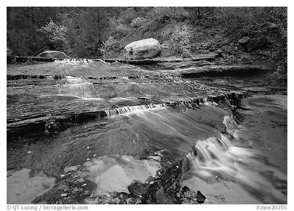 Terraced cascades, Left Fork of the North Creek. Zion National Park (black and white)
