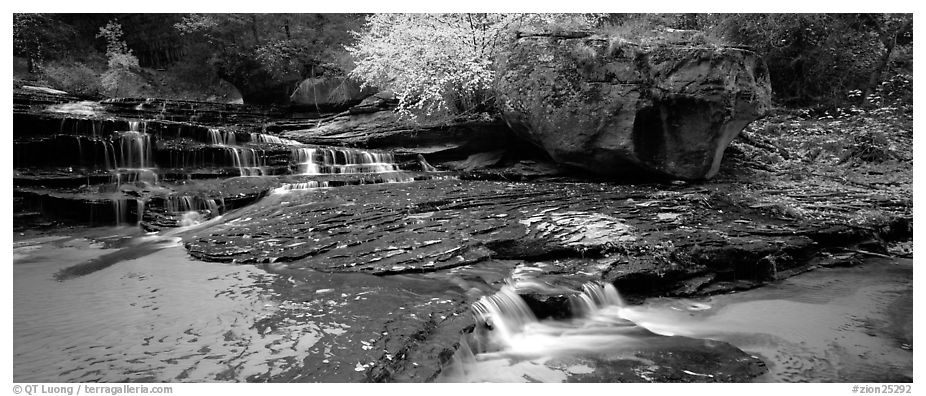 North Creek cascading over terraces in autumn. Zion National Park (black and white)