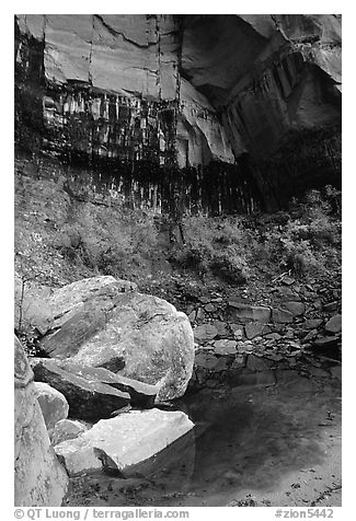 Boulders in  Third Emerald Pool. Zion National Park, Utah, USA.