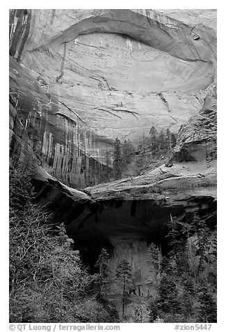 Double Arch Alcove, Middle Fork of Taylor Creek. Zion National Park, Utah, USA.