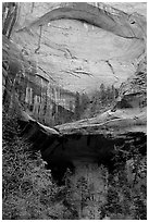 Double Arch Alcove, Middle Fork of Taylor Creek. Zion National Park, Utah, USA. (black and white)