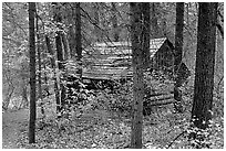 Abandoned historical log cabin, Middle Fork of Taylor Creek. Zion National Park, Utah, USA. (black and white)