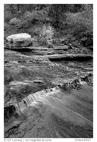 Travertine terraced cascades in autum, Left Fork. Zion National Park (black and white)